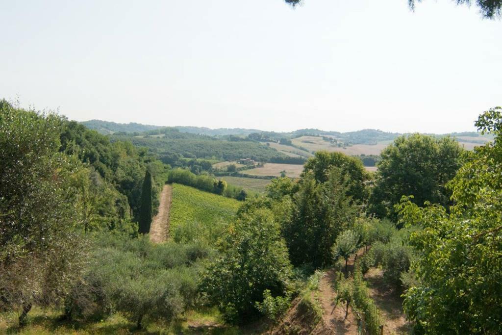 Stunning Country House Overlooking Tuscany Hills Lorenzana Luaran gambar